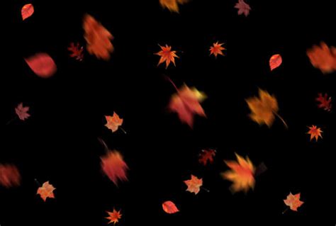 Free Leaf Overlays for Photoshop – 300 Autumn Overlays