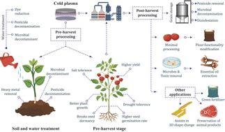 Plasma processing: a sustainable technology in agri-food processing ...