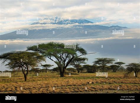 Pictures of the snow-covered Kilimanjaro in Kenya Stock Photo - Alamy