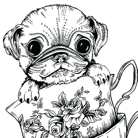 Printable Pug Coloring Pages - Printable Word Searches