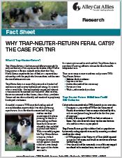 Alley Cat Allies | Why Trap-Neuter-Return Feral Cats? The Case for TNR