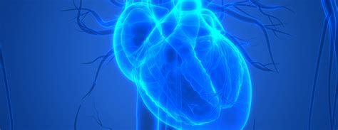 Coronary angiography