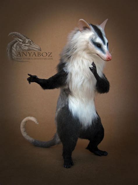 White Eared Opossum Room Guardian by AnyaBoz on DeviantArt