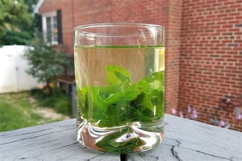 Holy Basil Tea Recipe (Using Fresh or Dried Tulsi)