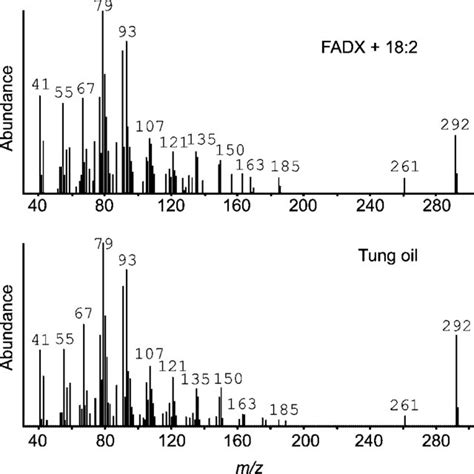 Dendrogram showing evolutionary relationships of FAD2, divergent FAD2 ...