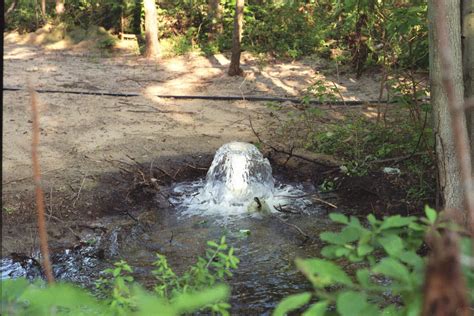 Water Dowsing India