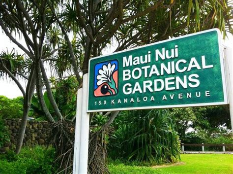 Maui Nui Botanical Gardens (Kahului) - 2021 All You Need to Know BEFORE ...