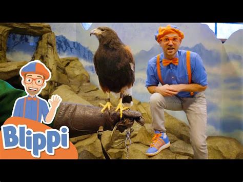 Blippi Feeds And Plays With Animals At The Zoo! | Educational Videos ...