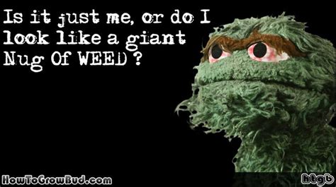 Quotes Oscar The Grouch. QuotesGram