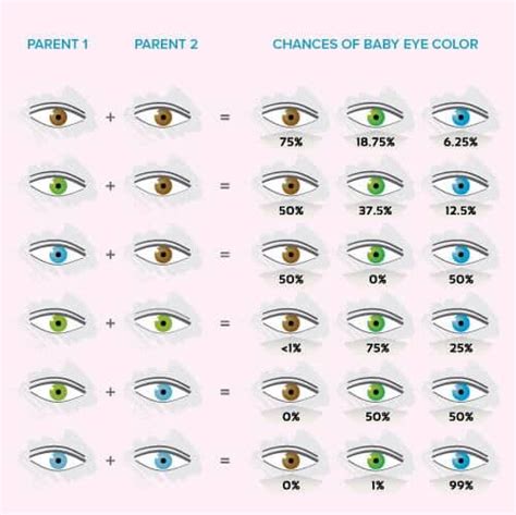 eye color gene probability chart writing pinterest - eye color ...