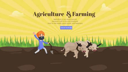 Banner design of agriculture and farming Vector Image