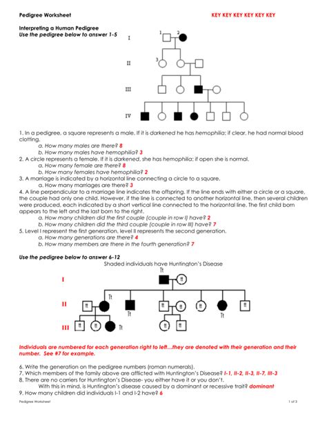 Pedigree Worksheet Answer Key - Zipworksheet.com