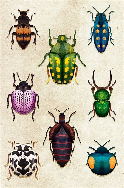 Beetles on Behance | Beetle art, Insect art projects, Insect art