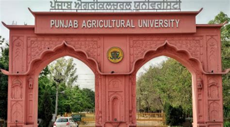 PAU Ludhiana: Courses, Admission 2024, Fees, Placements, Ranking