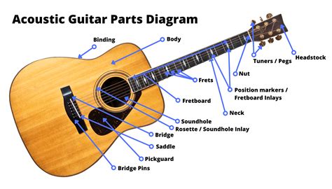 Overview Of The Guitar Types National Guitar Academy, 44% OFF