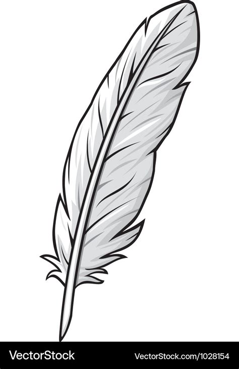 Feather Royalty Free Vector Image - VectorStock