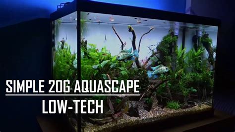 20 GALLON AQUASCAPE TUTORIAL | Easy, simple aquarium - YouTube