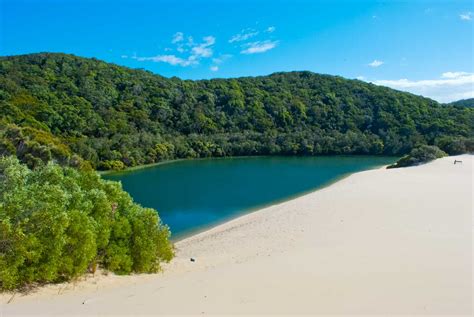 Things to Do in Fraser Island - 14 MUST SEE Attractions