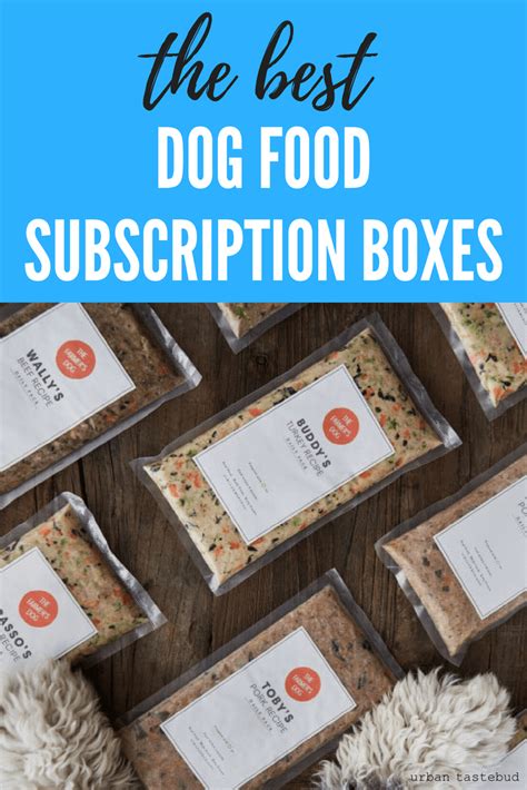 13 Best Dog Food Subscription Boxes of 2024 - Urban Tastebud