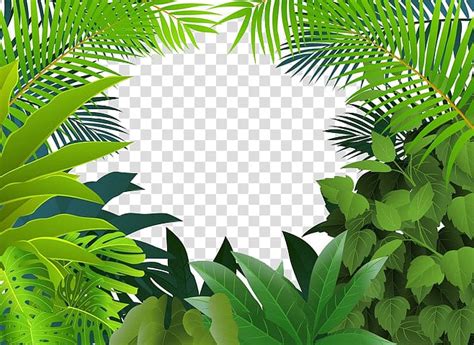 Rainforest Background Clipart