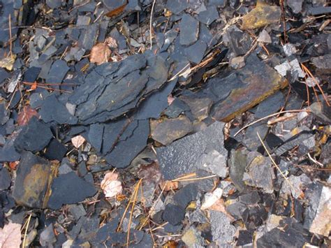 Pictures of the Marcellus Shale formation outcrop - WV Surface Owners ...