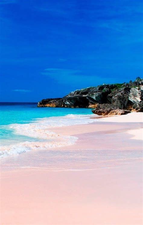 Kings Wharf, Bermuda | Pink sand beaches. Yes, they exist. Up your ...