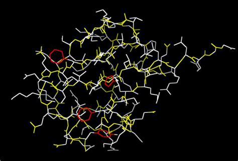 Figure S3. Structure of ubiquitin protein (adopted from the crystal ...