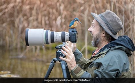 Drop Everything And Look At These Pics Of Animals Interrupting Wildlife ...