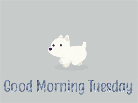 Happy Tuesday Gif - GIFcen