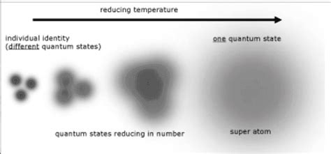 Bose-Einstein Condensate Properties