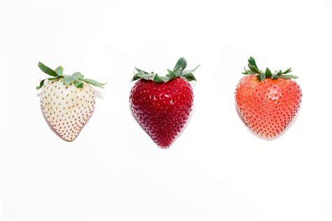 White strawberries? How genetics is creating the berry of the future ...