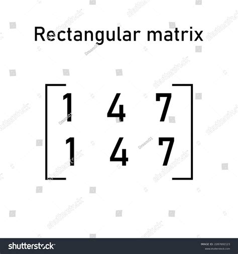 Rectangular Matrix Types Matrices Mathematics Vector Stock Vector ...