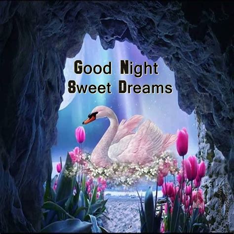 Dove Good Night Sweet Dreams Graphic | Good night sweet dreams, Good ...