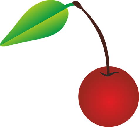 Cherry Vector PNG Image | PNG Mart