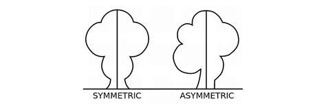 Asymmetrical Drawing Examples