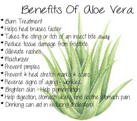 The Benefits of Aloe Vera! | Aloe vera uses, Aloe vera benefits, Aloe ...