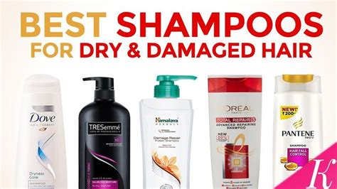 Top 5 Best Shampoo For Men In India | Dry damaged hair, Dry broken hair ...