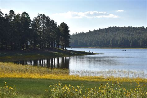 Kaibab National Forest - Dogtown Lake Campground