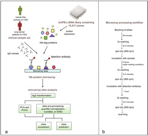 Microarrays | Free Full-Text | Immune-Signatures for Lung Cancer ...