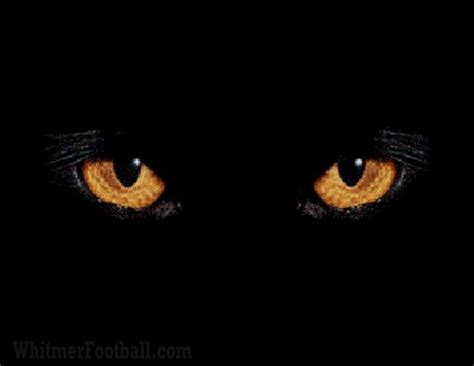 Black Panther Eyes Wallpapers - Top Free Black Panther Eyes Backgrounds ...