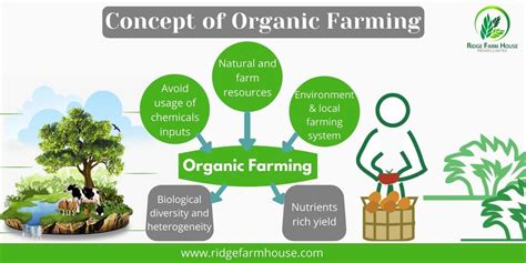 Concept of Organic Farming | Organic farming, Benefits of organic ...