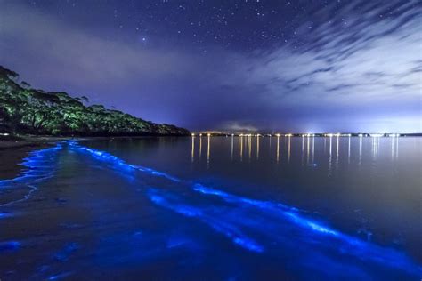 Bioluminescent Bay in La Parguera, Puerto Rico