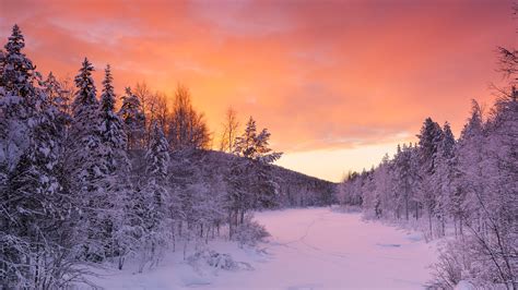 Winter in Finland - Talvi Suomessa (Lapland) - Winter Wallpaper ...