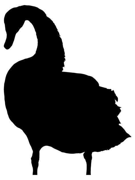 Swan Silhouette Clip Art at GetDrawings | Free download