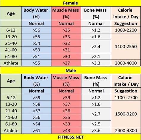 Understanding Muscle Mass Percentage with Charts