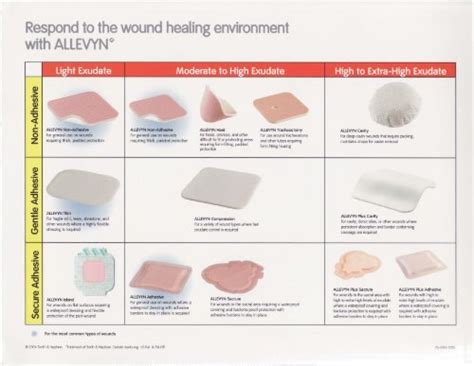 Wound Dressing Types