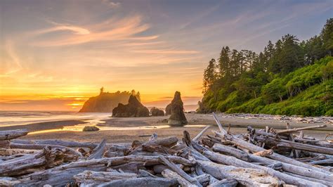 Best Time to Visit Olympic National Park in 2022 - The Geeky Camper