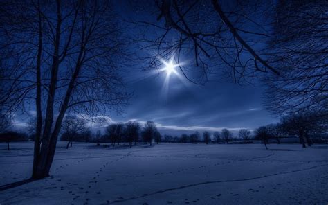 Beautiful Winter Night Wallpaper Free Download