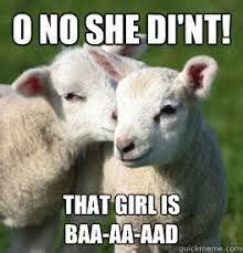 Funny Sheep Memes