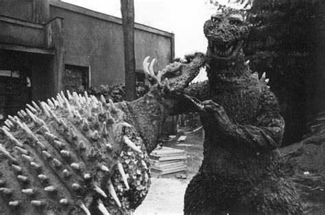 Godzilla vs. Anguirus 1955 | Godzilla | Know Your Meme